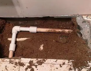 望城测漏水哪家好