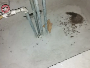 望城卫生间测漏水价格明细