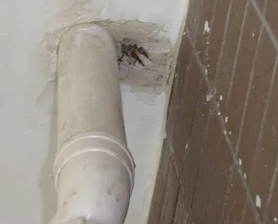 望城漏水检测哪家好